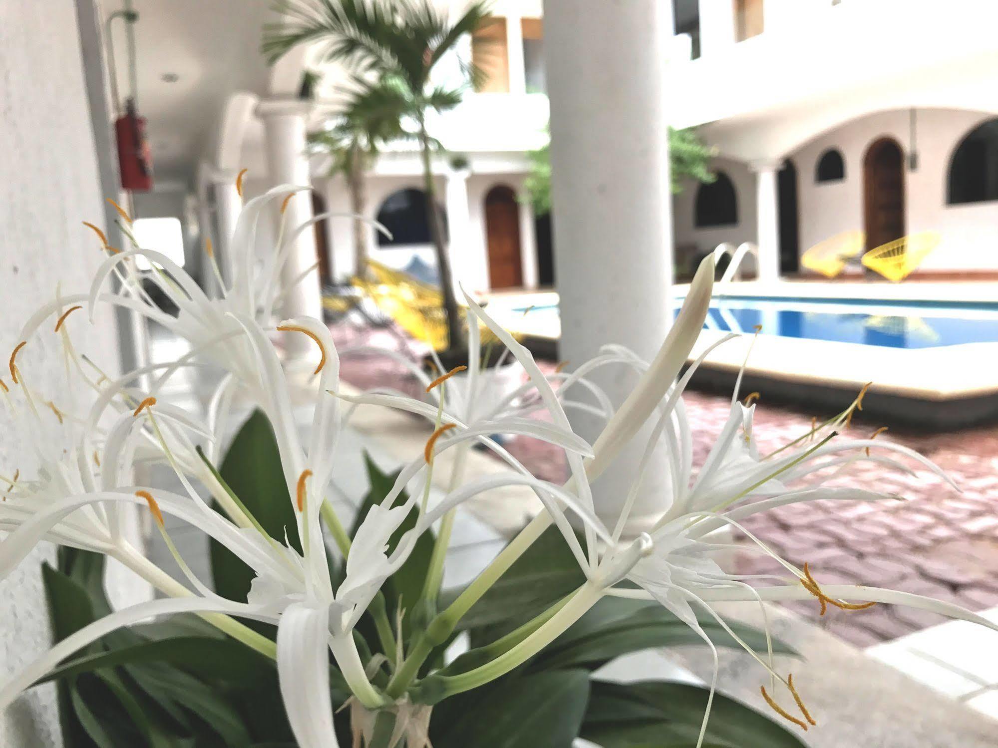 Hotel Villas San Ignacio Playa del Carmen Kültér fotó