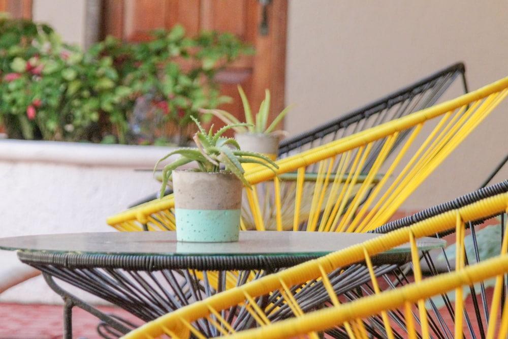 Hotel Villas San Ignacio Playa del Carmen Kültér fotó